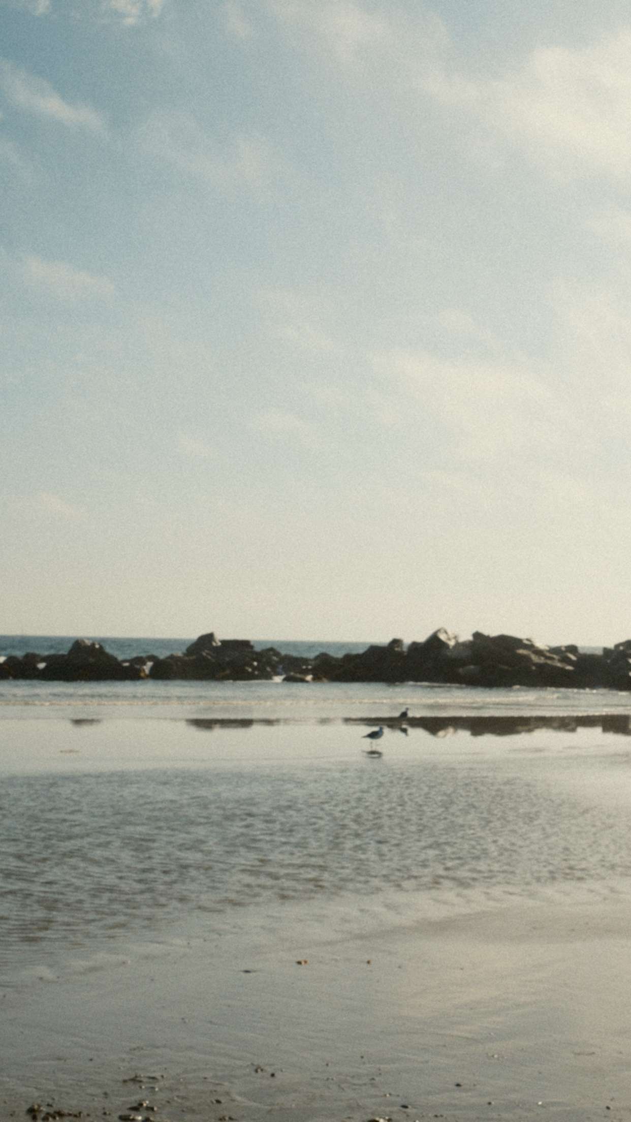 realhaylujan snapchat image archive image