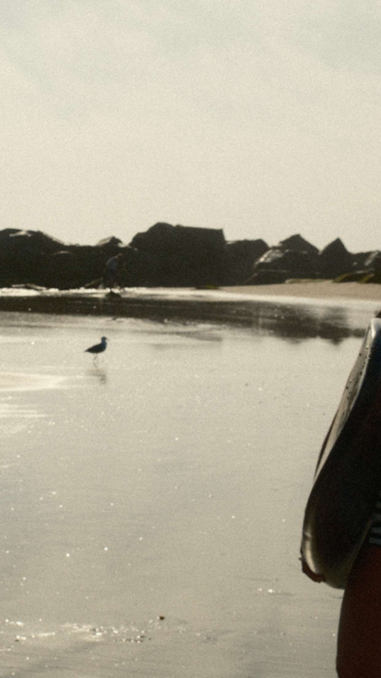 realhaylujan snapchat image archive image