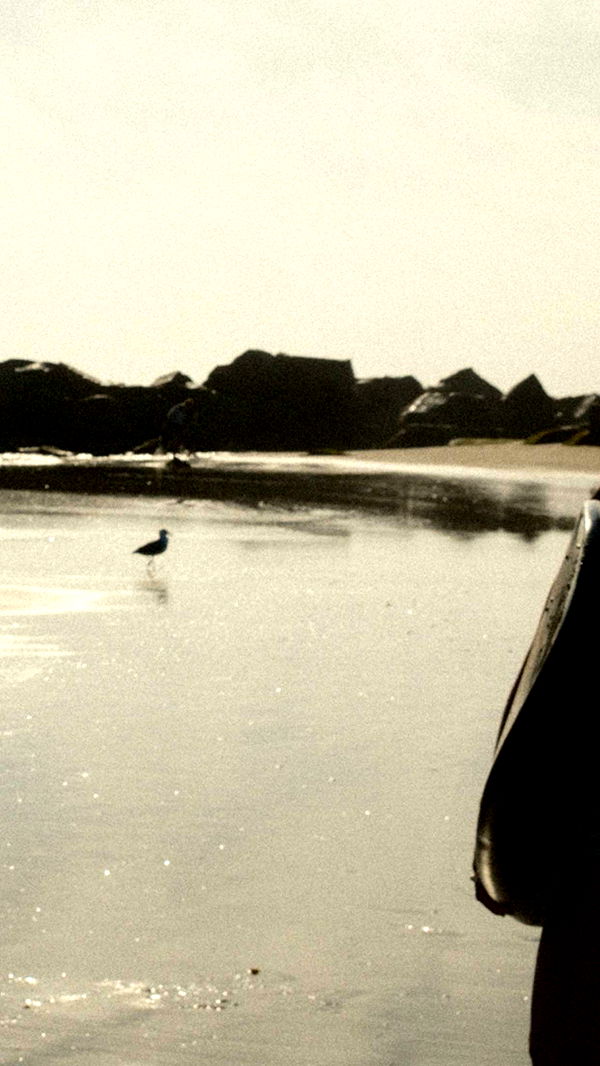 realhaylujan image ~ Altpins