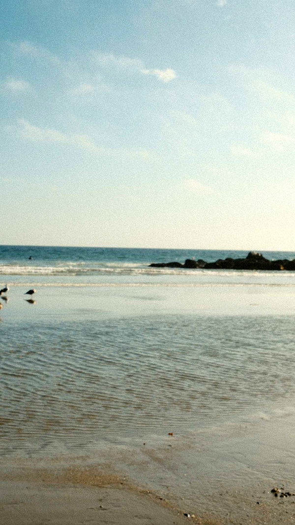 realhaylujan image ~ Altpins