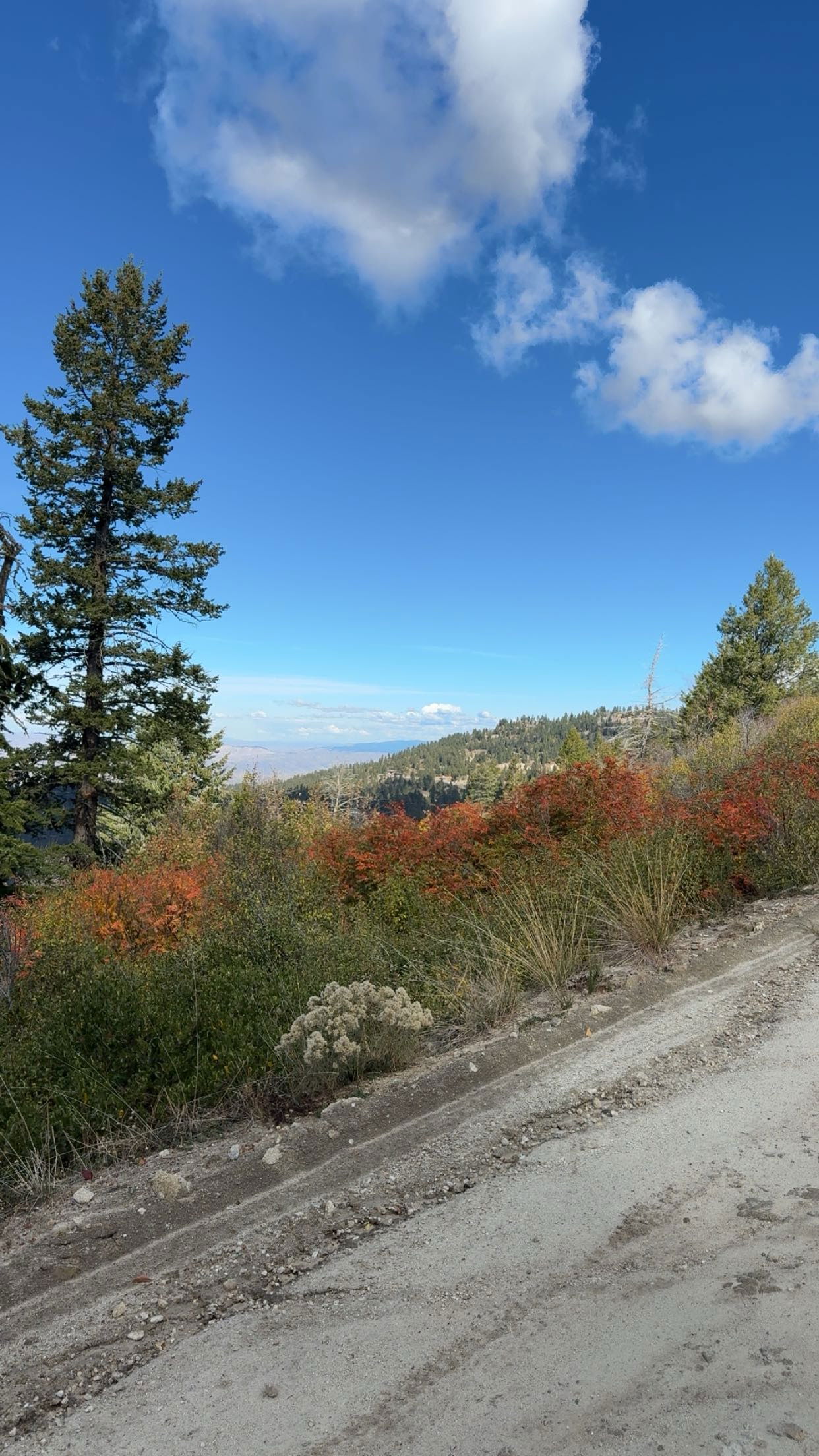 realhaylujan snapchat image archive image