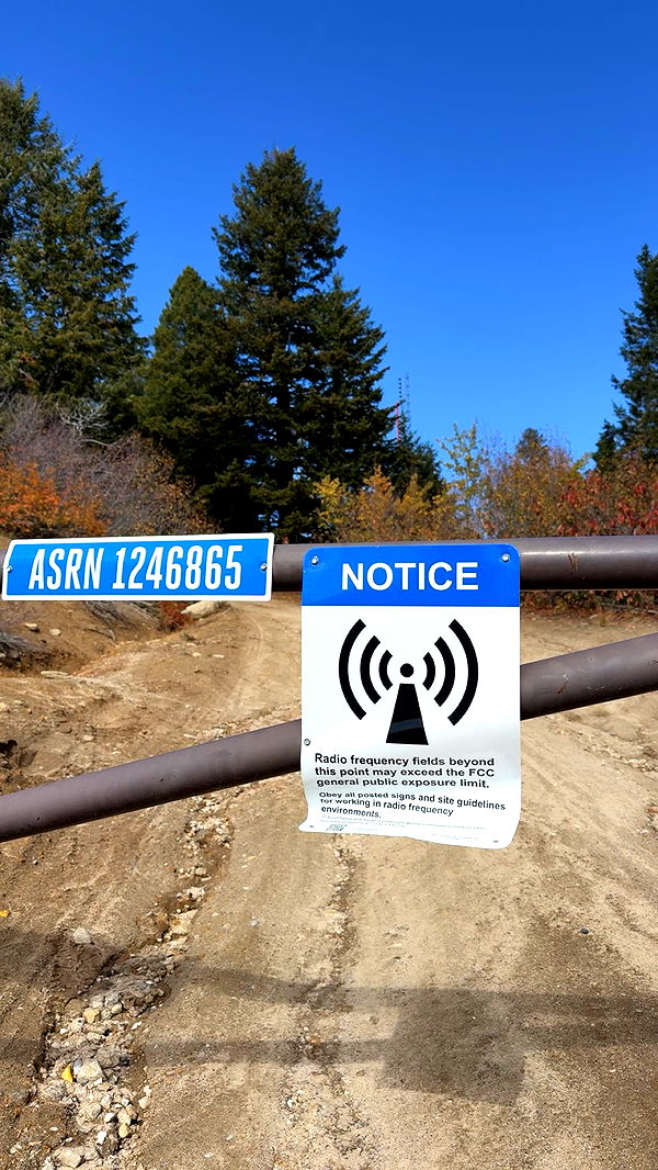 realhaylujan image ~ Altpins