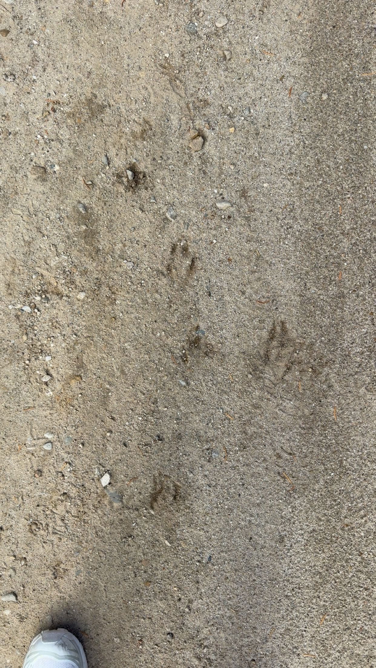 realhaylujan snapchat image archive image