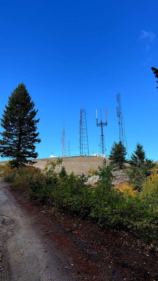 realhaylujan image ~ Altpins