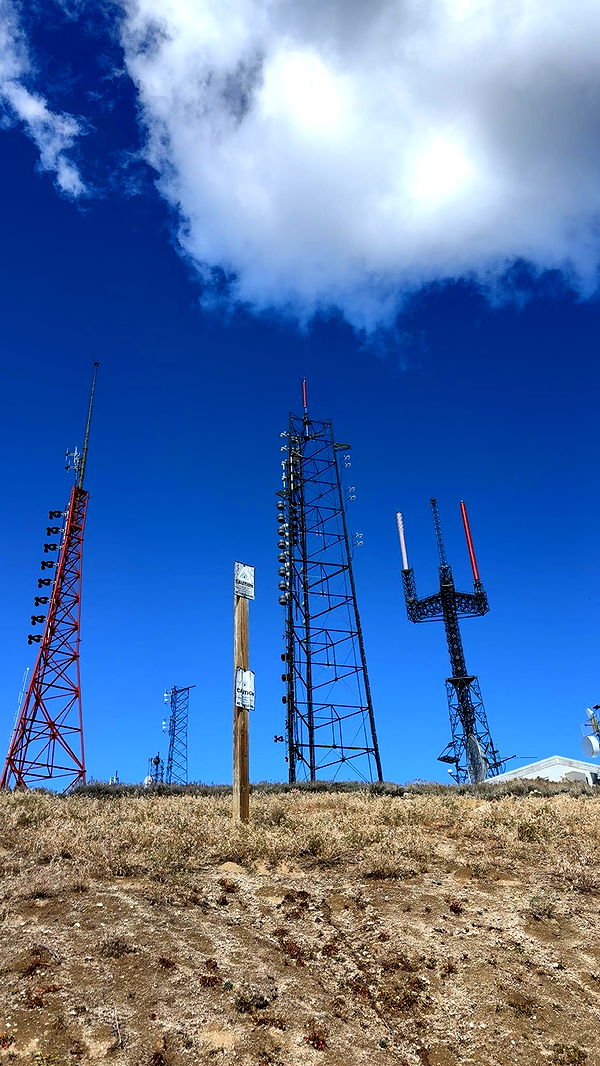 realhaylujan image ~ Altpins