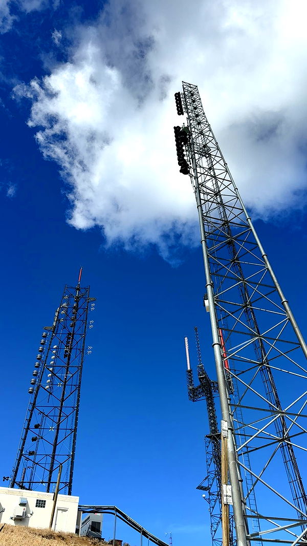 realhaylujan image ~ Altpins