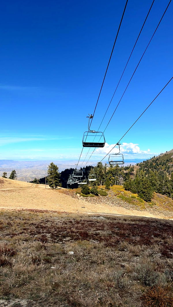 realhaylujan image ~ Altpins