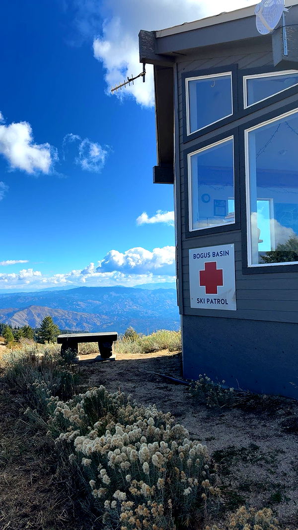 realhaylujan image ~ Altpins