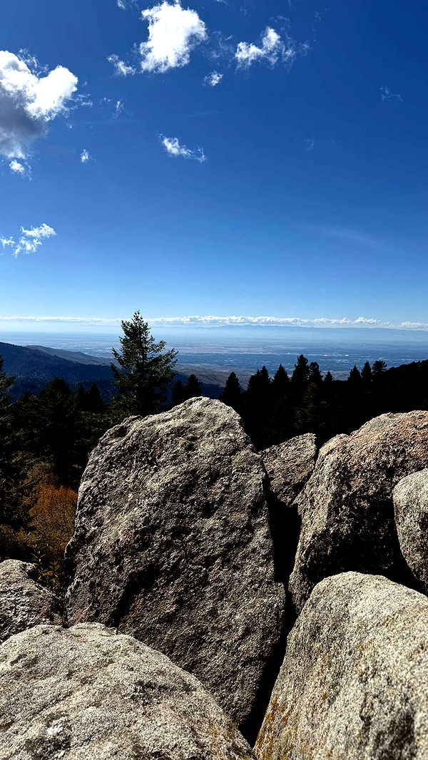 realhaylujan image ~ Altpins