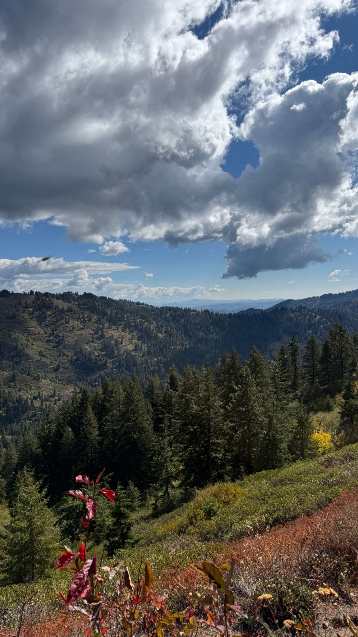 realhaylujan snapchat image archive image