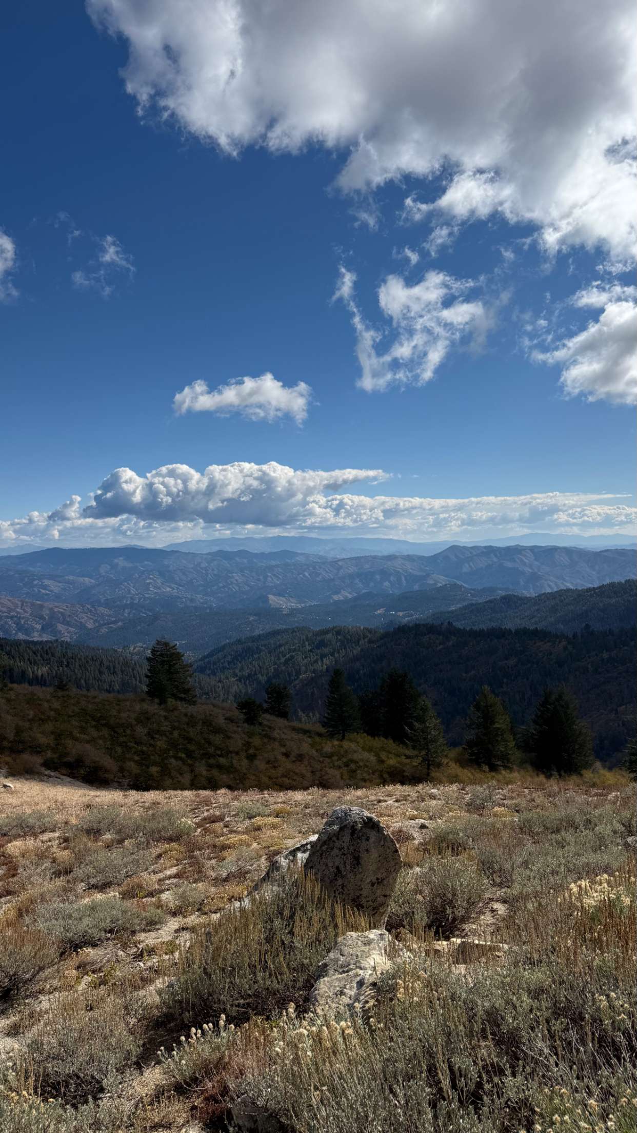 realhaylujan snapchat image archive image