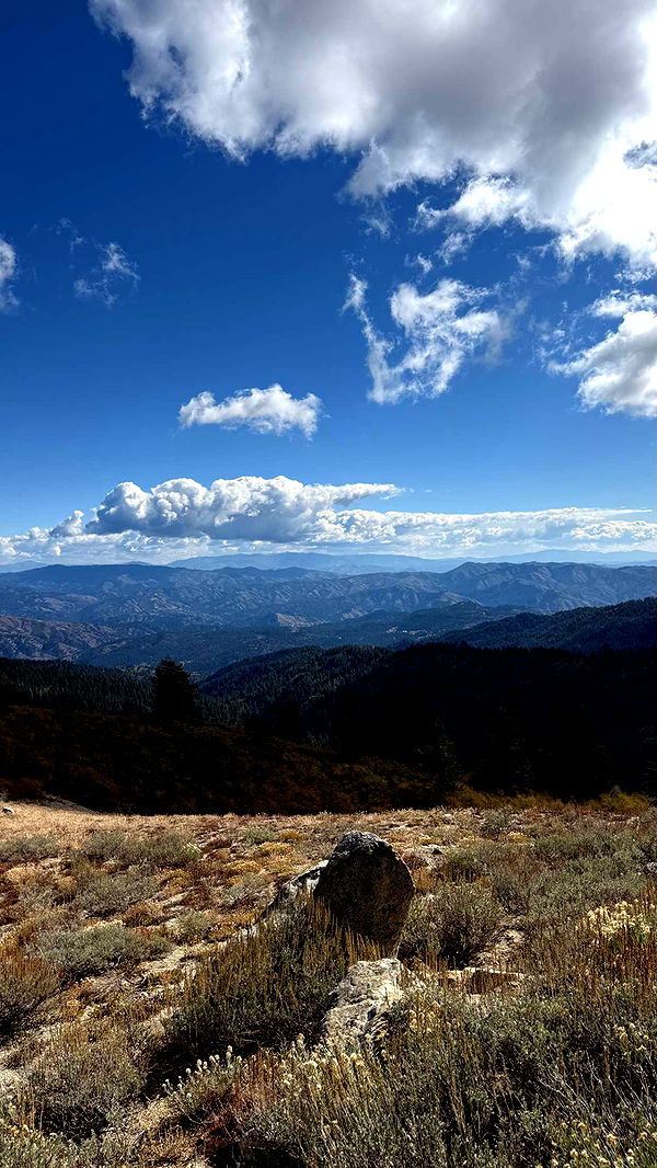 realhaylujan image ~ Altpins