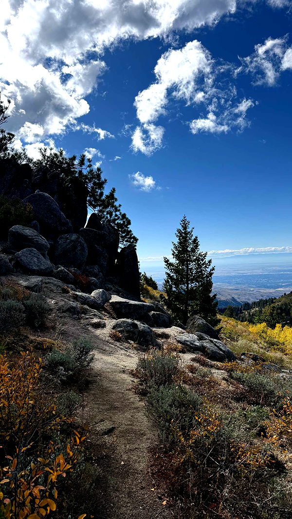 realhaylujan image ~ Altpins