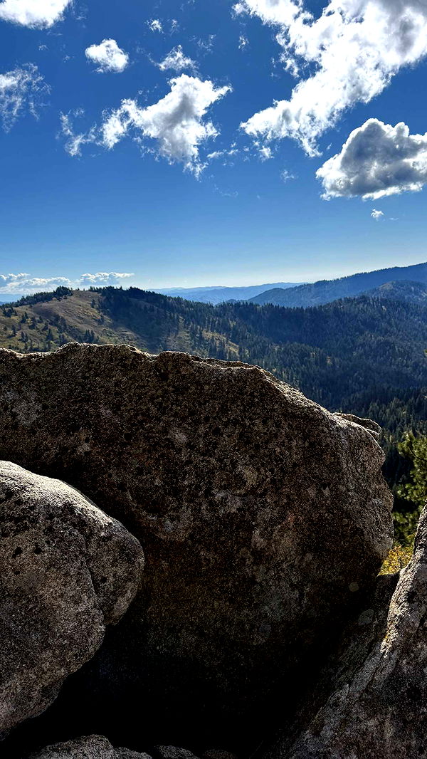 realhaylujan image ~ Altpins