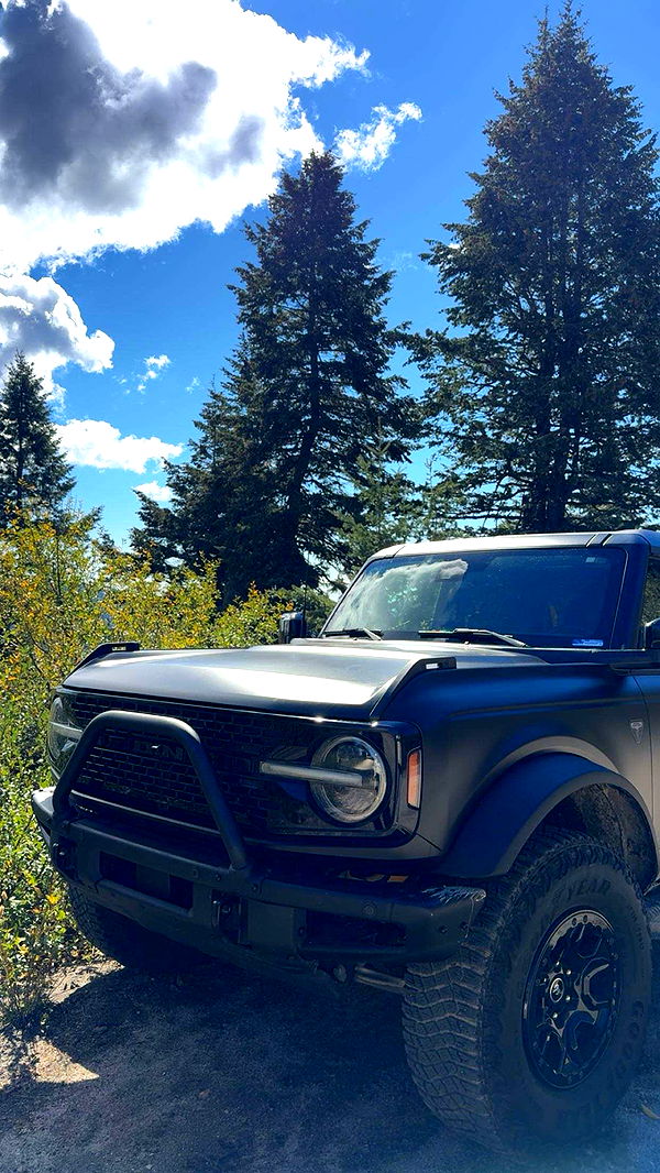 realhaylujan image ~ Altpins