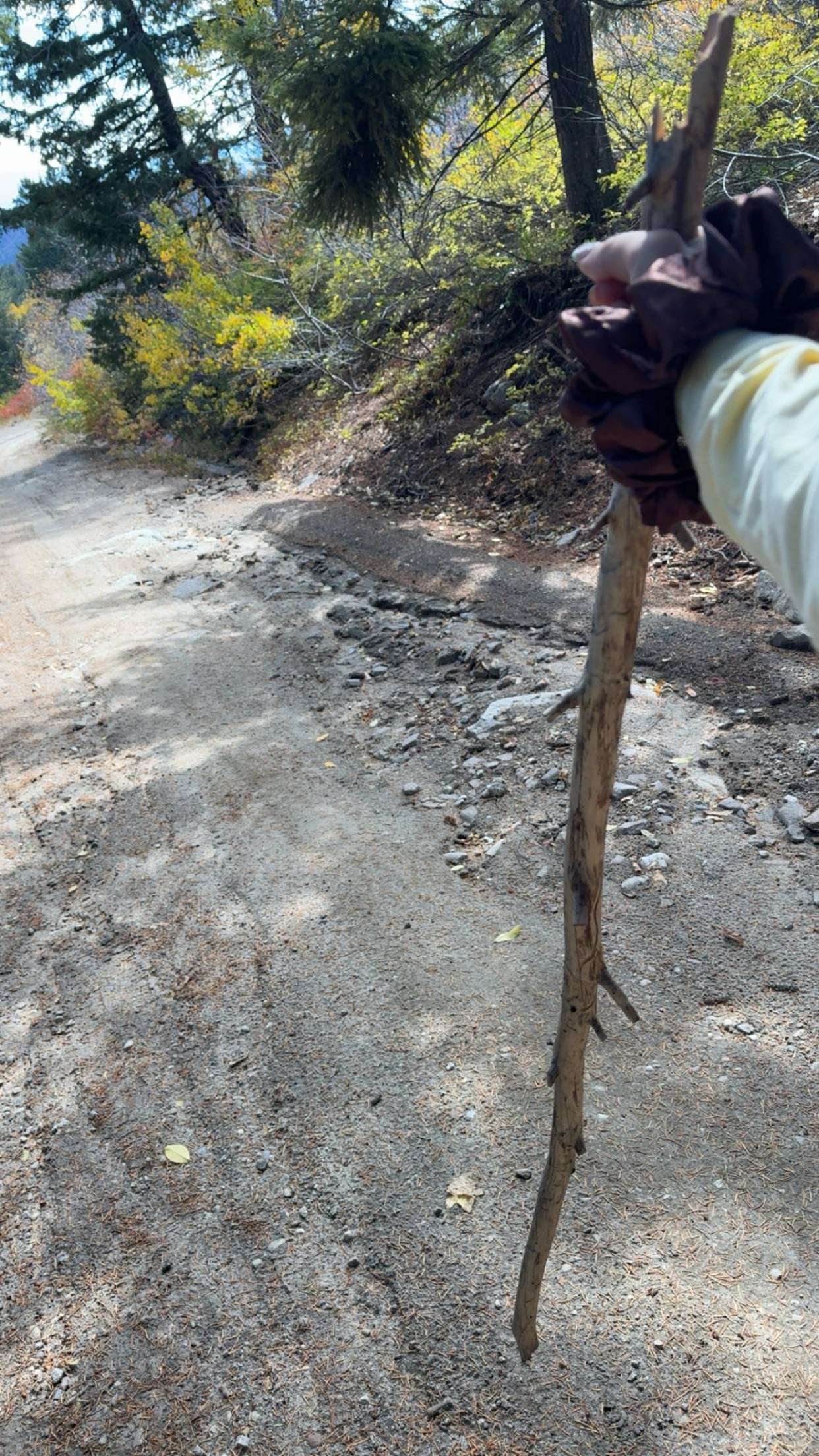 realhaylujan snapchat image archive image