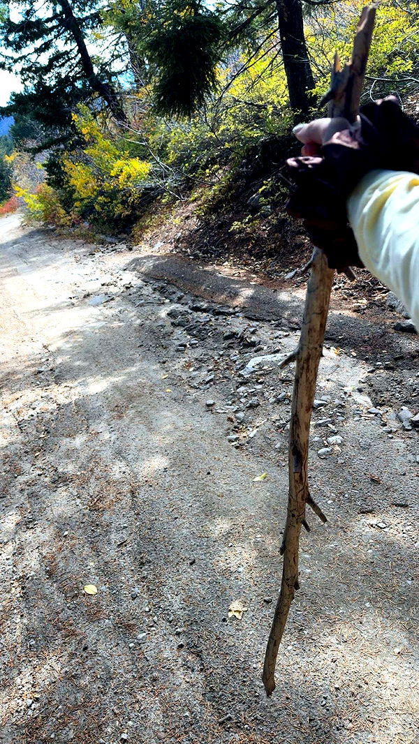 realhaylujan image ~ Altpins