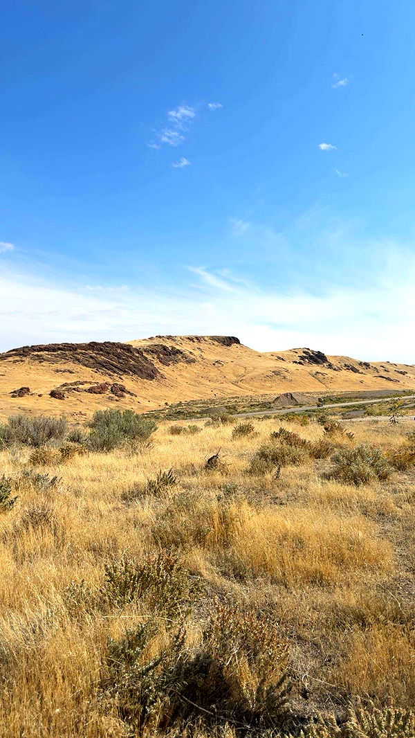 realhaylujan image ~ Altpins