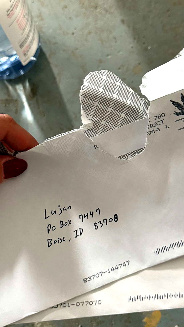 realhaylujan image ~ Altpins