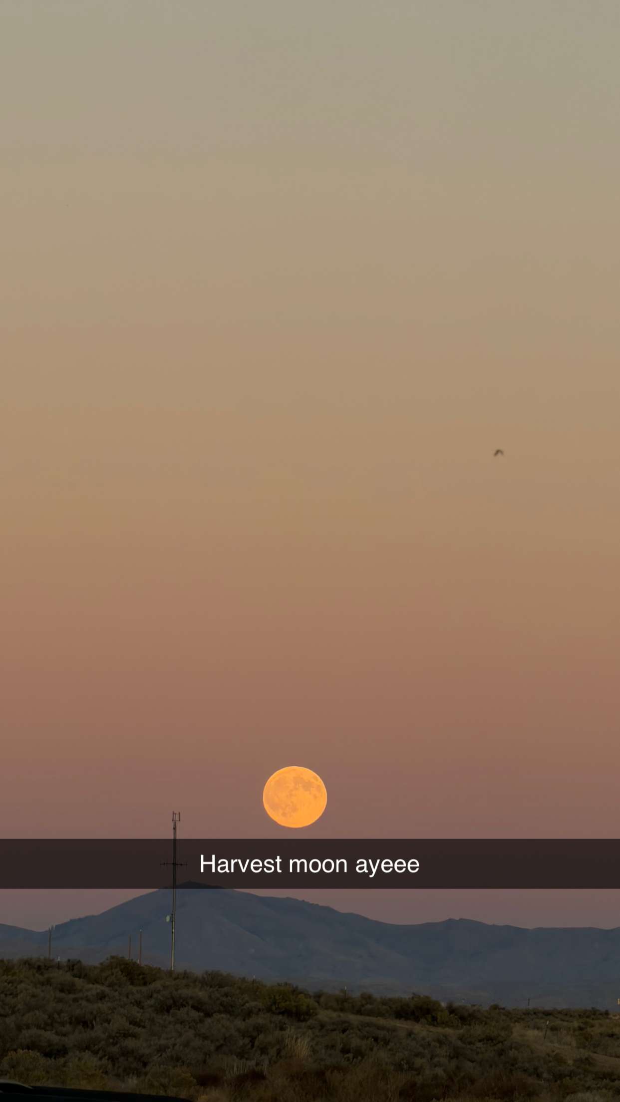 realhaylujan snapchat image archive image