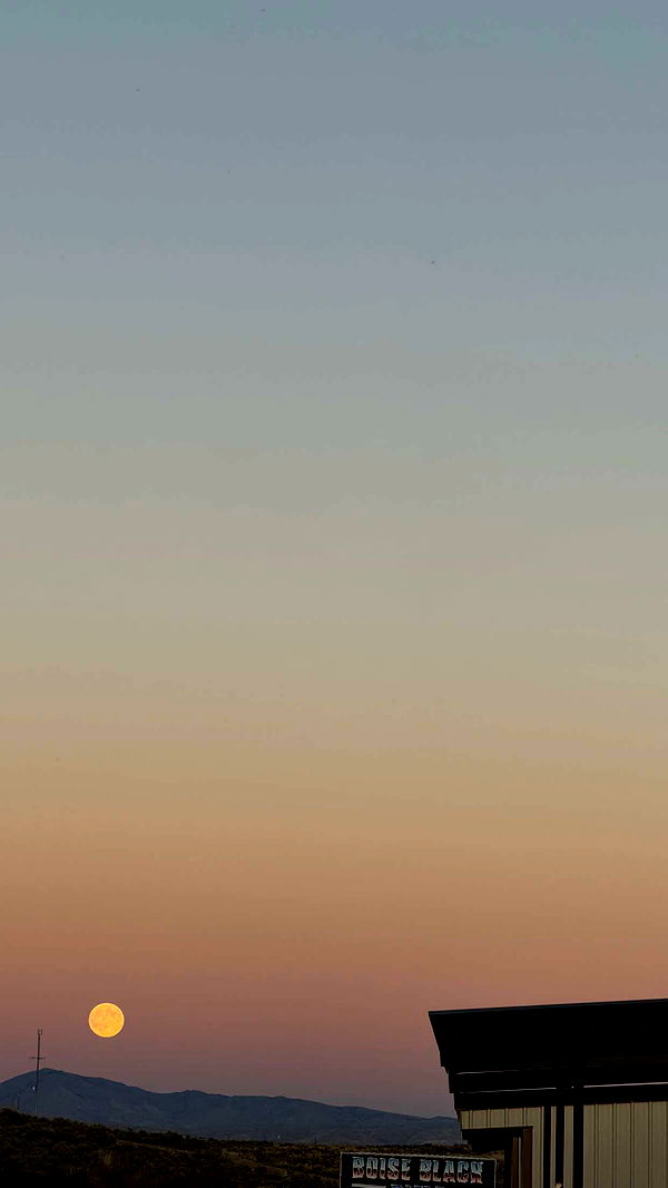 realhaylujan image ~ Altpins