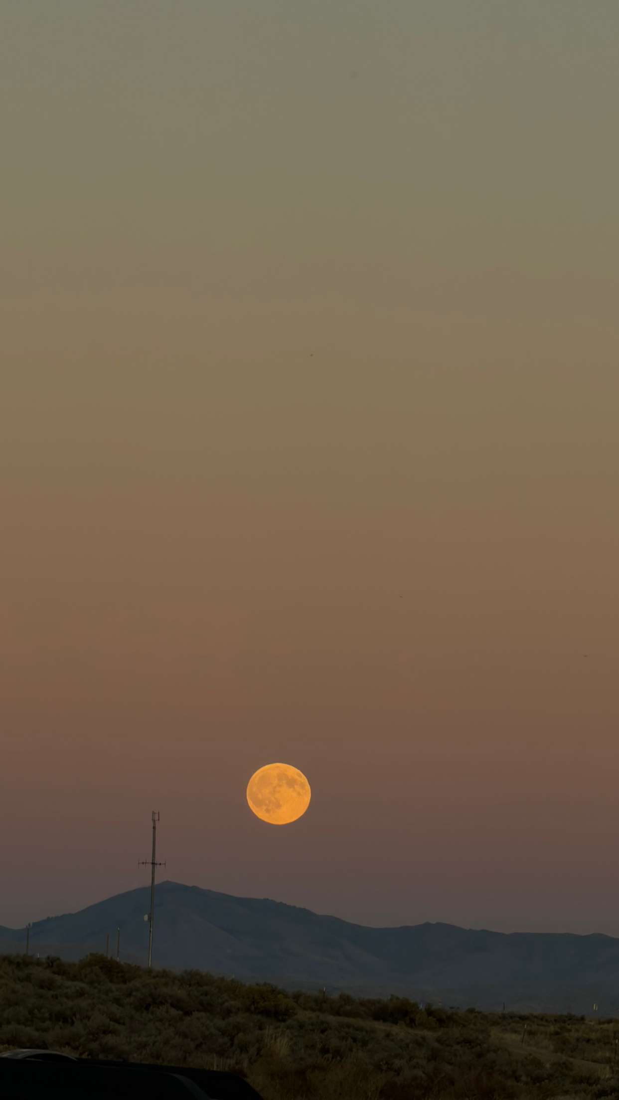 realhaylujan snapchat image archive image