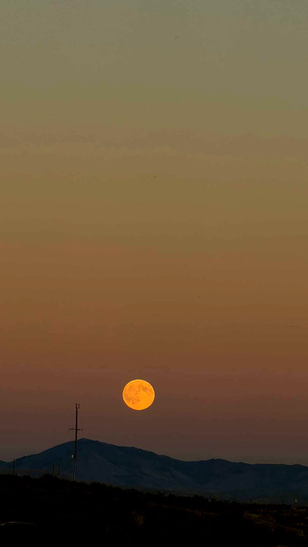 realhaylujan image ~ Altpins