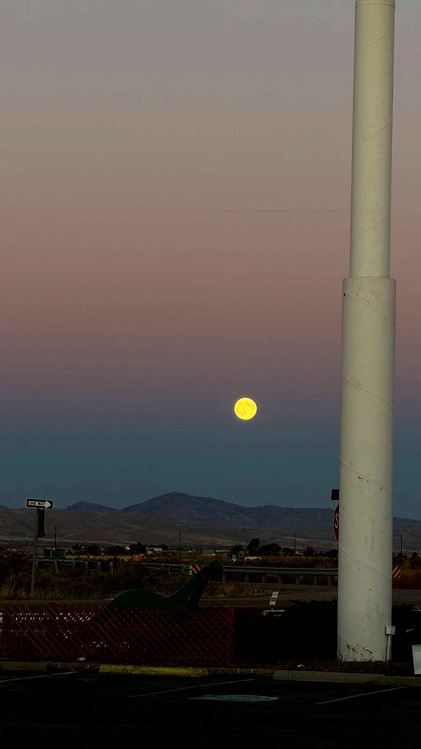 realhaylujan image ~ Altpins