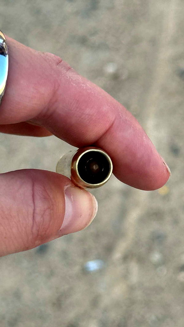 realhaylujan image ~ Altpins