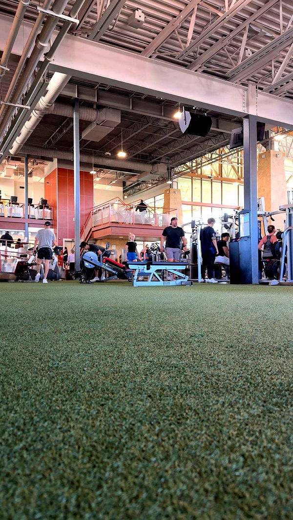 realhaylujan image ~ Altpins