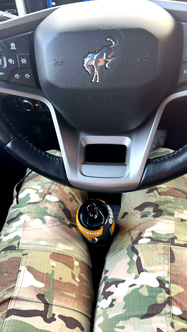 realhaylujan image ~ Altpins