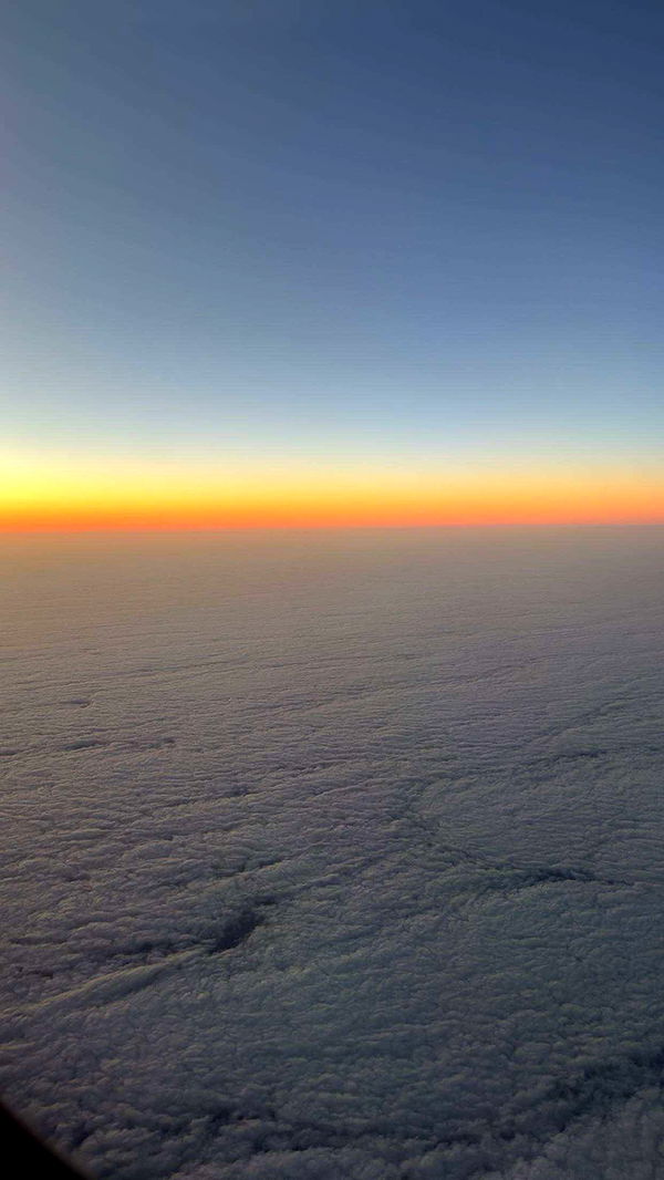 realhaylujan image ~ Altpins