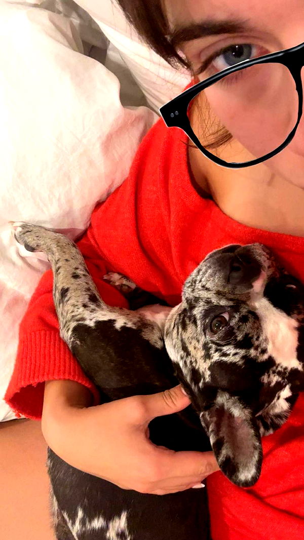 realhaylujan image ~ Altpins