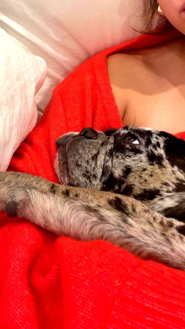 realhaylujan image ~ Altpins