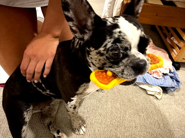 realhaylujan image ~ Altpins