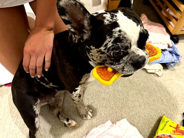 realhaylujan image ~ Altpins