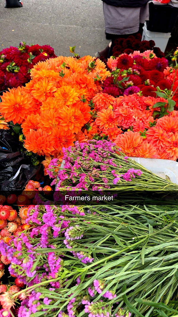 realhaylujan image ~ Altpins