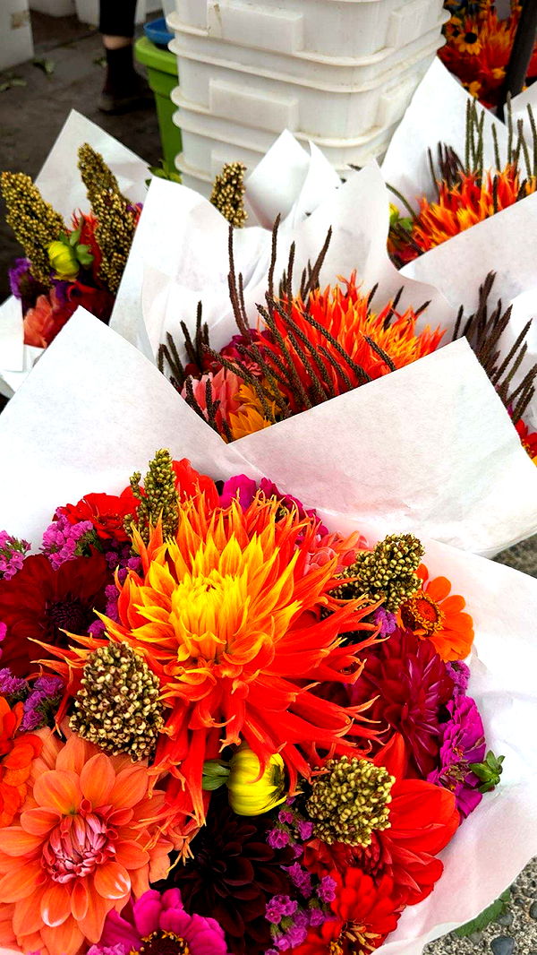 realhaylujan image ~ Altpins