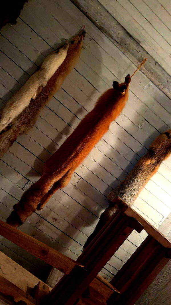 realhaylujan image ~ Altpins