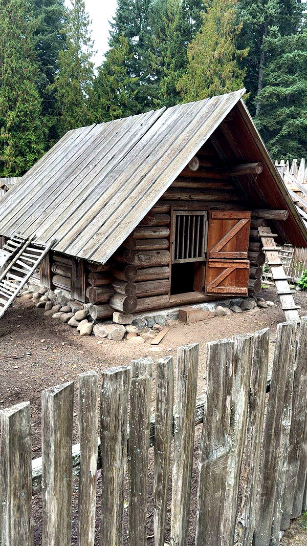 realhaylujan image ~ Altpins