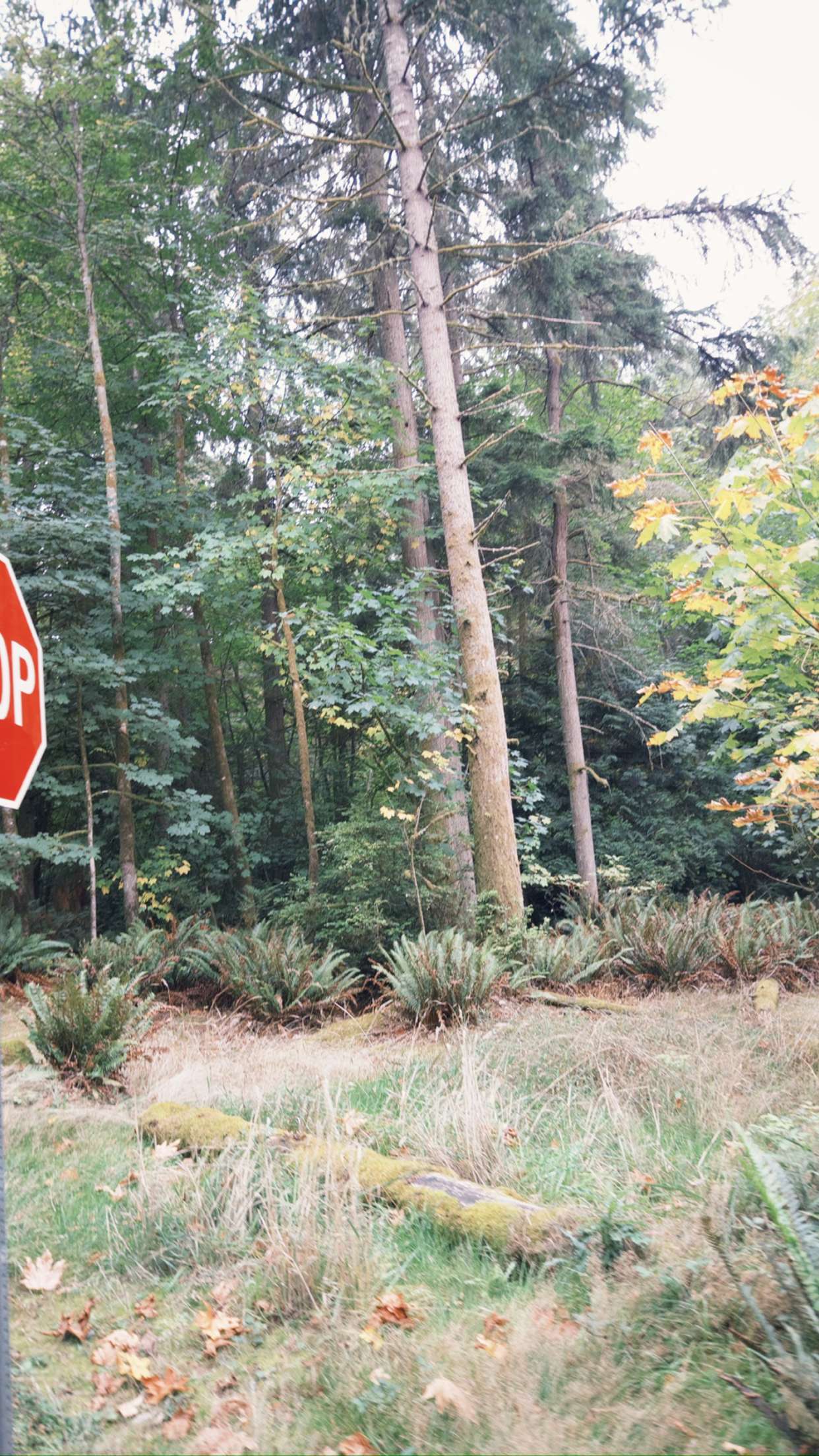 realhaylujan snapchat image archive image