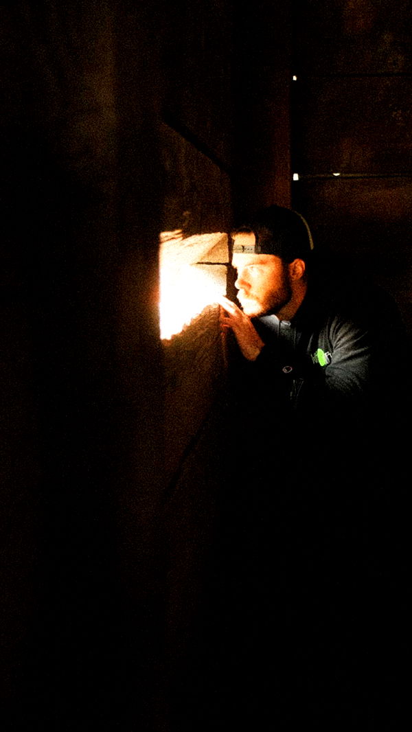 realhaylujan image ~ Altpins