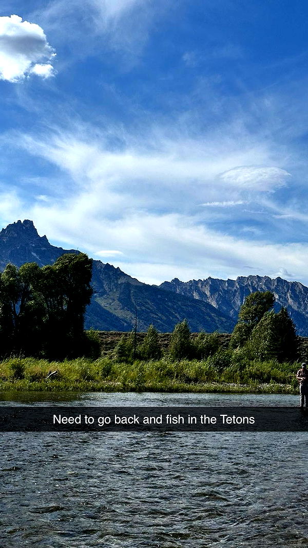 realhaylujan image ~ Altpins