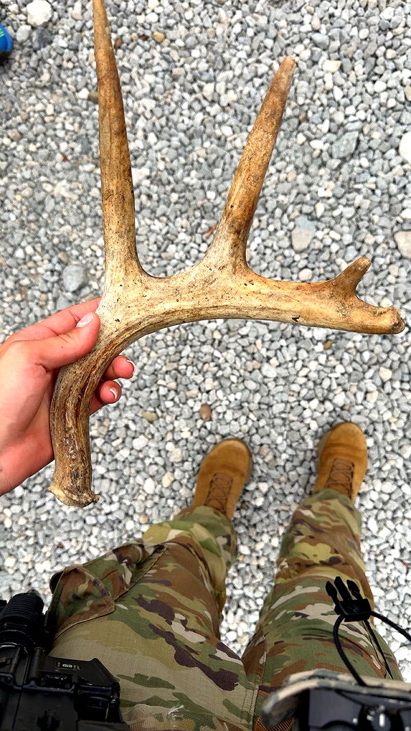 realhaylujan image ~ Altpins