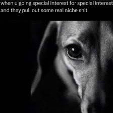 realhaylujan snapchat image archive image