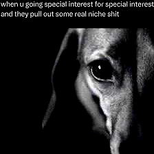 realhaylujan image ~ Altpins