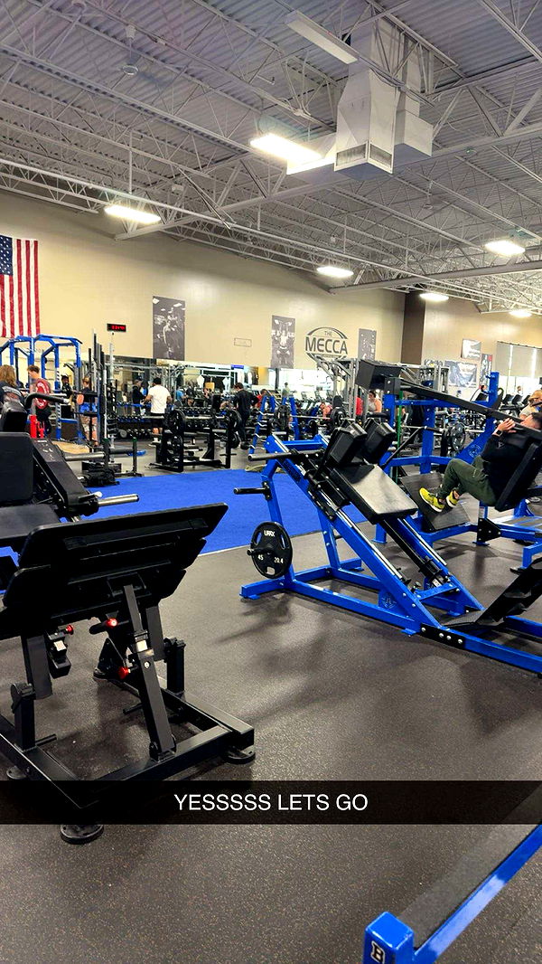 realhaylujan image ~ Altpins