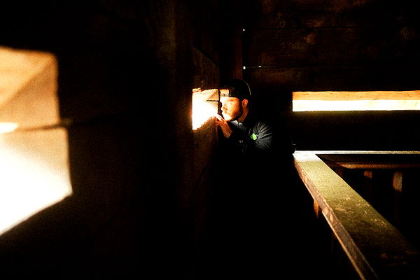 realhaylujan image ~ Altpins