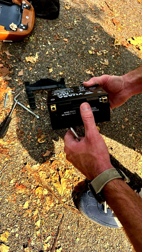 realhaylujan image ~ Altpins