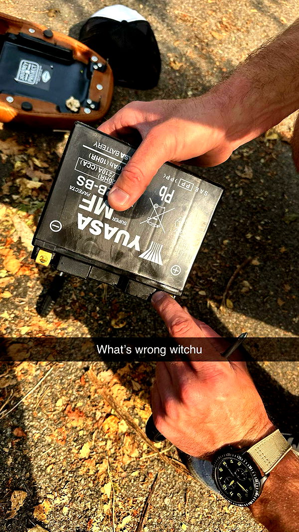 realhaylujan image ~ Altpins